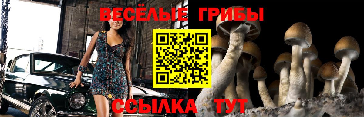Ликино-Дулёво  Галлюциногенные грибы MAGIC MUSHROOMS  Вход с VPN 